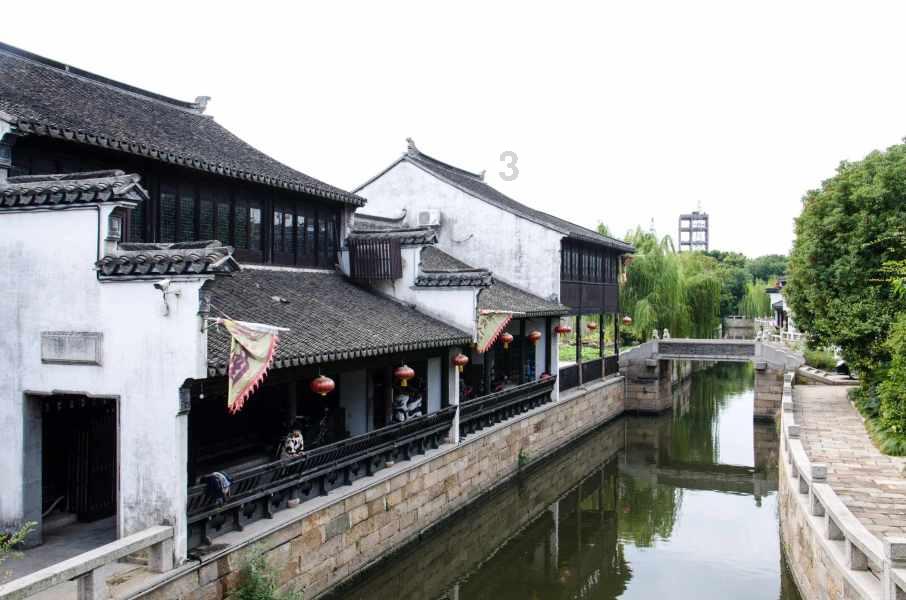 卡通骆驼救援